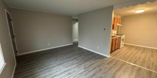 2822 W ANTOINETTE Street Gallery 9