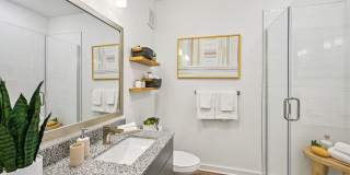 Momentum Blanding Gallery 8