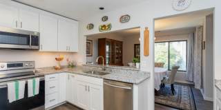 3 SPA CREEK Landing Gallery 12