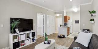 Encore at Buckingham - 55+ Community Gallery 6