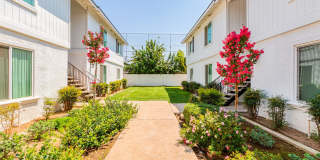 Arbor Collection Gallery 3