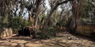 4135 QUAIL BRIAR DRIVE Gallery 3