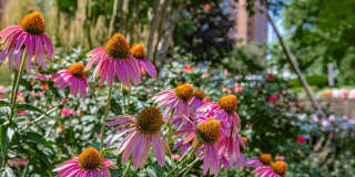 The Oliver in Alexandria Gallery 8