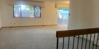 Immaculate Ranch with Large Backyard and Basement in Arvada Immaculate Ranch with Large Backyard and Basement in Arvada Gallery 11