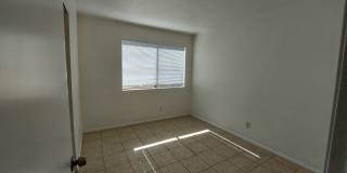 Desert Shadows Gallery 12