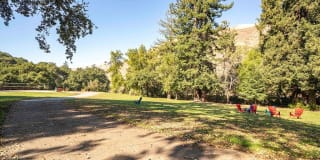 Sofi Berryessa Gallery 35