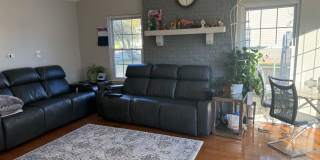 19 Woodbury Road Gallery 1