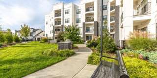 The Ivy Apartment Homes Gallery 18