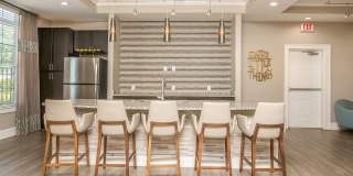 Nexus at Sandhill Apartment Homes Gallery 70