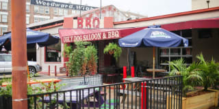 The Woodward Gallery 53