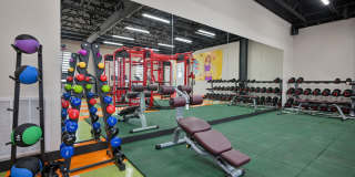 The Tree Apartments Gallery 69