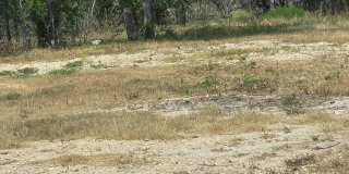 8279 Green Valley Road - 1 Gallery 2
