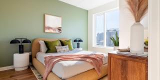 The Carson Gallery 21