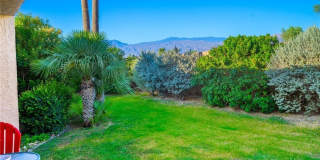 80071 Palm Circle Drive Gallery 19