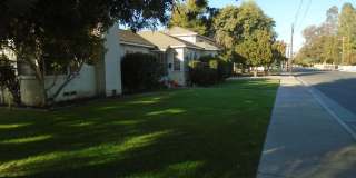 DRACENA ST 1909 Gallery 1