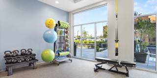 Alto Fairfield Metro Gallery 28