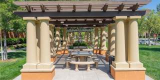 56 Scarlet Bloom Gallery 24