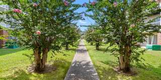 Bellemont Victoria I Apartments Gallery 6