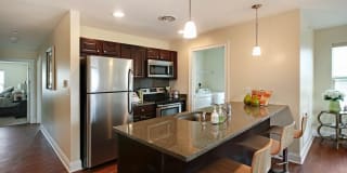 The Springs Gallery 12