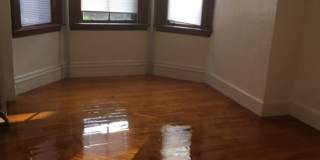 Great Sunny 3 Bed w/ Yard! Gallery 10