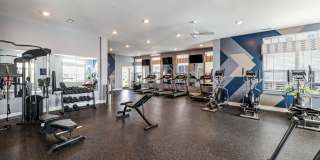 Walden Lakes Gallery 13