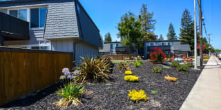 The Boardwalk Gallery 1