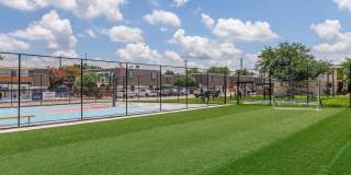 The Lynx Apartments and Townhomes Gallery 5