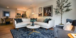 The Moxie Gallery 18