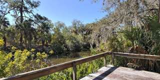 2746 ORCHID OAKS DRIVE Gallery 54