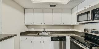 Rise Spring Pointe Gallery 101