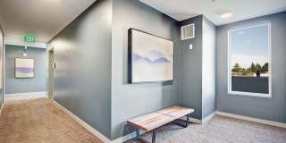 Vega Gallery 18