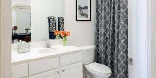 The Islands of Fox Chase Gallery 2