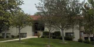 863 Ronda Mendoza Gallery 10