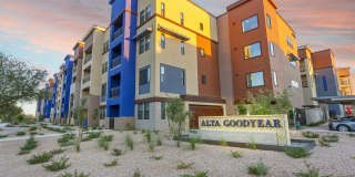 Alta Goodyear Gallery 31