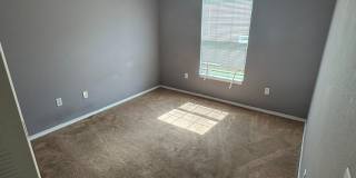 First 2 weeks free offer Gallery 27