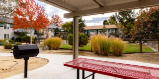 The Element The Element Gallery 13