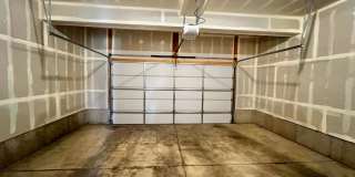 Mangold831 (KC-LN) Gallery 23