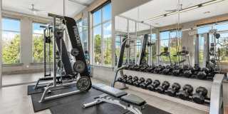 Canyon Vistas Gallery 13