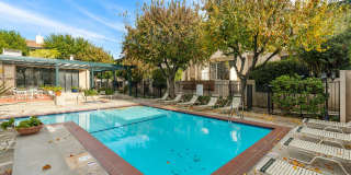 7137 Shoup Avenue Gallery 37