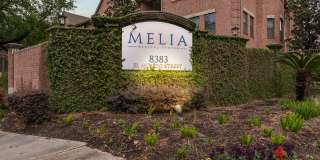Melia Medical Center Gallery 5