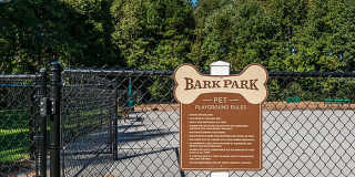 Pepperstone Gallery 31