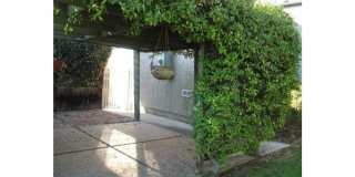 El Cerrito: Charming 3bd/2ba House - Single Level Gallery 17