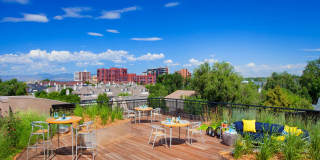 Gardens at Cherry Creek Gardens at Cherry Creek Gallery 2