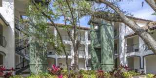 Mezzo of Tampa Palms Gallery 29