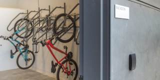 Cavalier at the Crosswalks Gallery 22