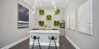 Finley at Fairfax Corner Gallery 11