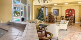 1000 L Ambiance Cir Gallery 22