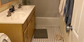 Charming 4 Bedroom-No Broker Fee Gallery 10