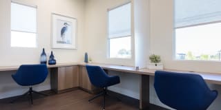 Senior Housing- Palmia, Age 55+ Luxury Apartments Gallery 25