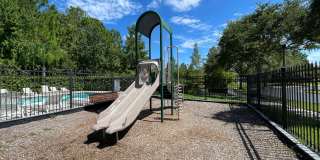 COMING SOON -To Lake Nona Preserve!  Resort-Style Living in a Gated, Pet-Friendly Community! Gallery 45